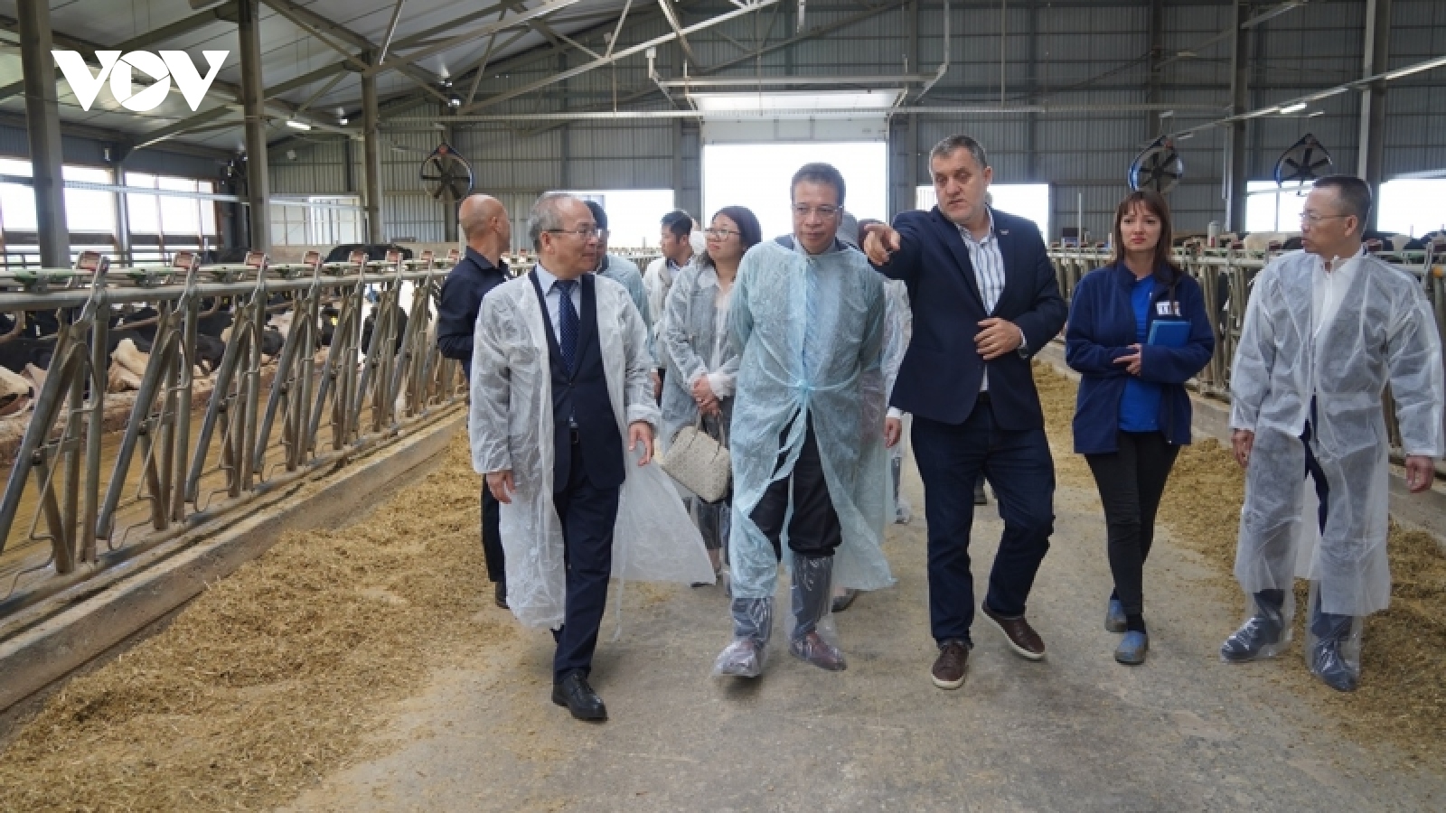 Tập đoàn TH phấn đấu cung ứng sữa thương hiệu riêng tại Nga