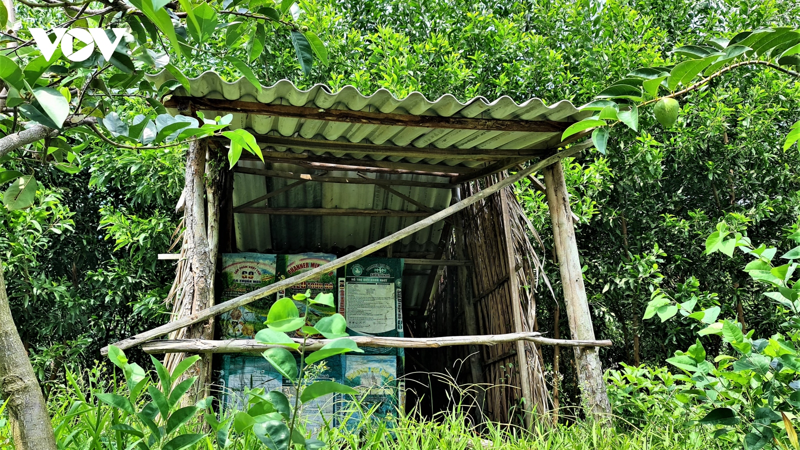 Giám đốc công ty bị kỷ luật vì hợp tác đầu tư với người thân