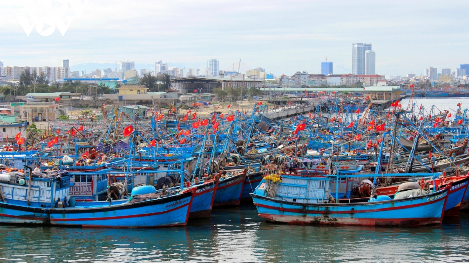 Hơn 50% số tàu cá của ngư dân Đà Nẵng không thể ra khơi