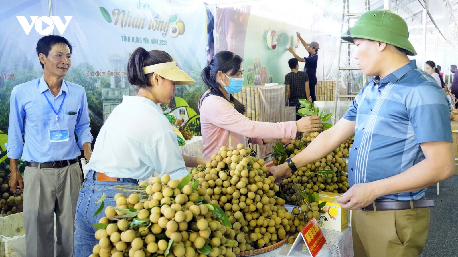 Hưng Yên chủ động các phương án tiêu thụ nhãn và nông sản