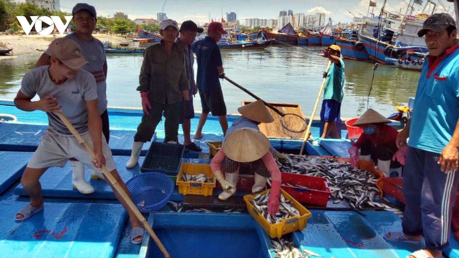 Xăng, dầu giảm giá ngư dân miền Trung phấn khởi vươn khơi