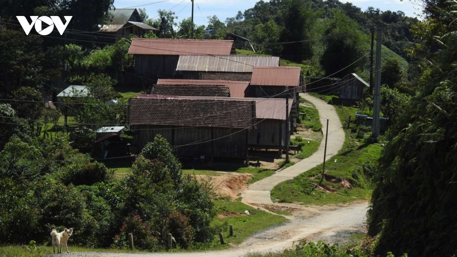 Trang bị kỹ năng ứng phó với động đất cho người dân vùng tâm chấn