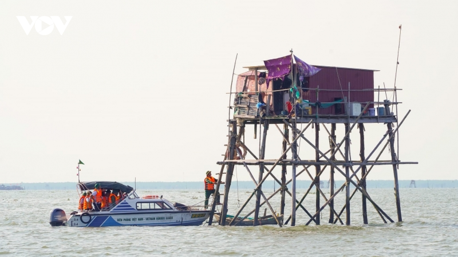 Tiếp tục giải tỏa nuôi ngao không phép tại các huyện Tiên Lãng và Kiến Thụy