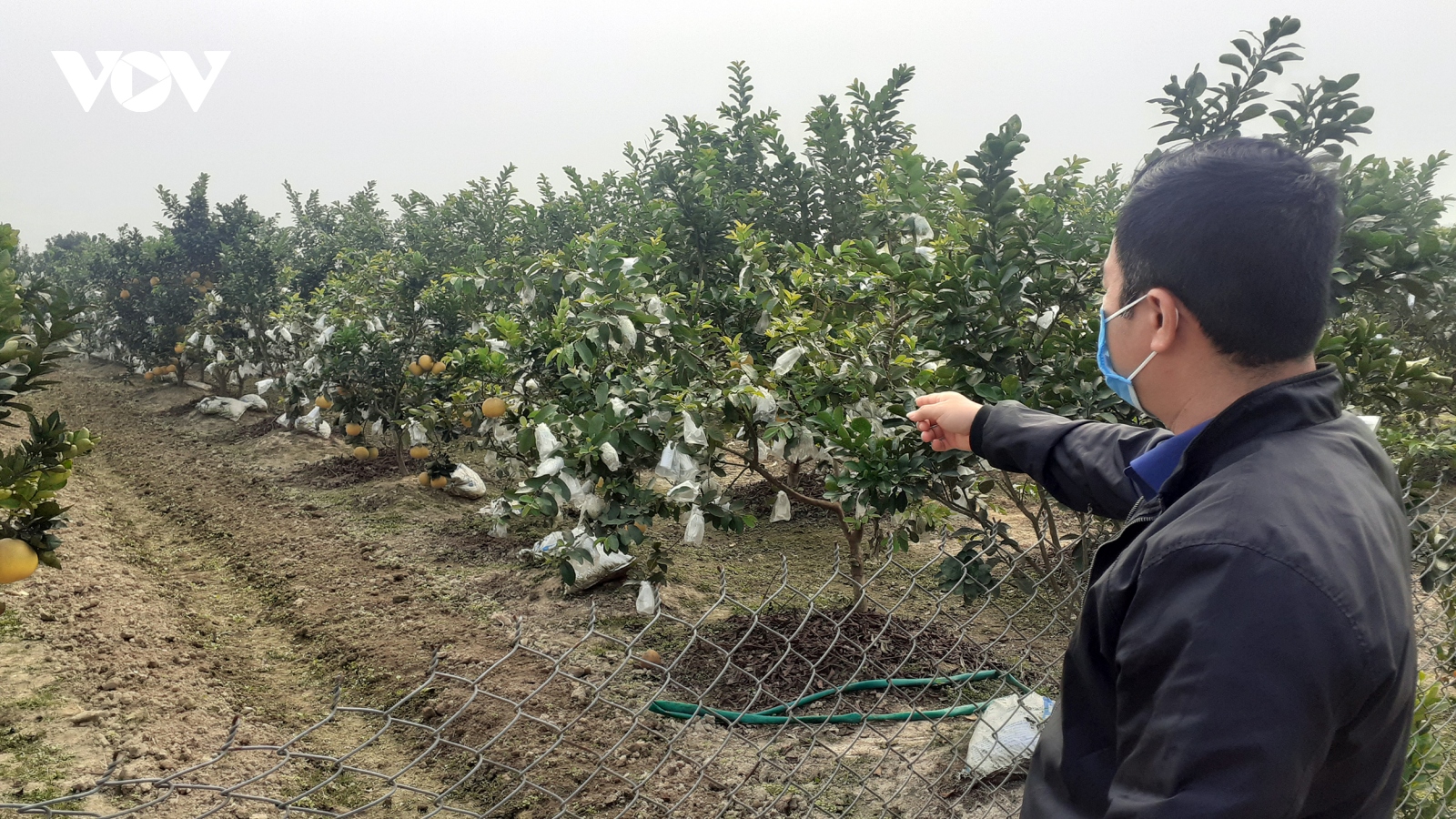 Phát triển OCOP ở Thái Nguyên chuyển từ “lượng” sang “chất”