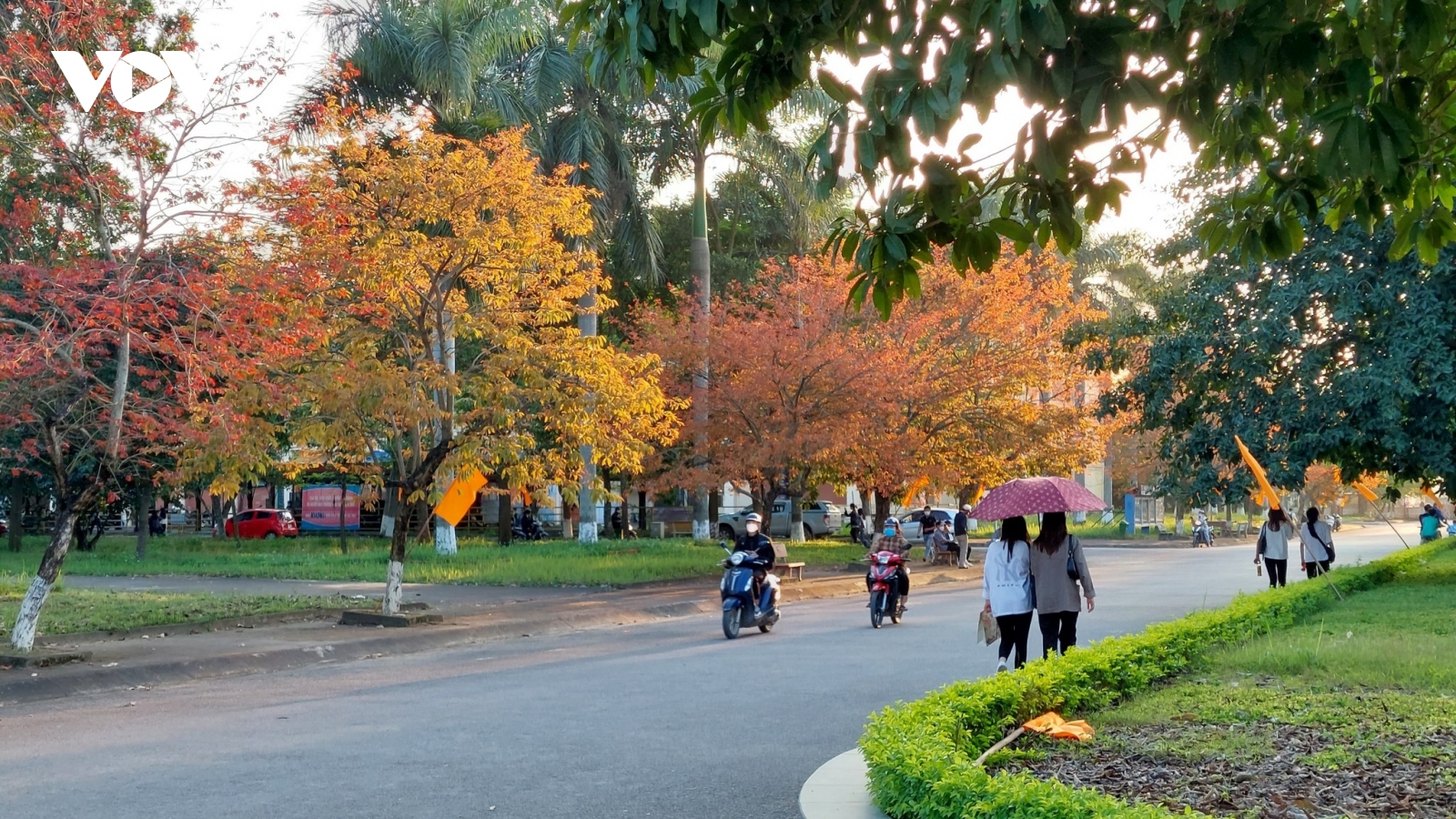 Xây dựng khuôn viên đại học an toàn, bảo vệ nữ sinh và giáo viên