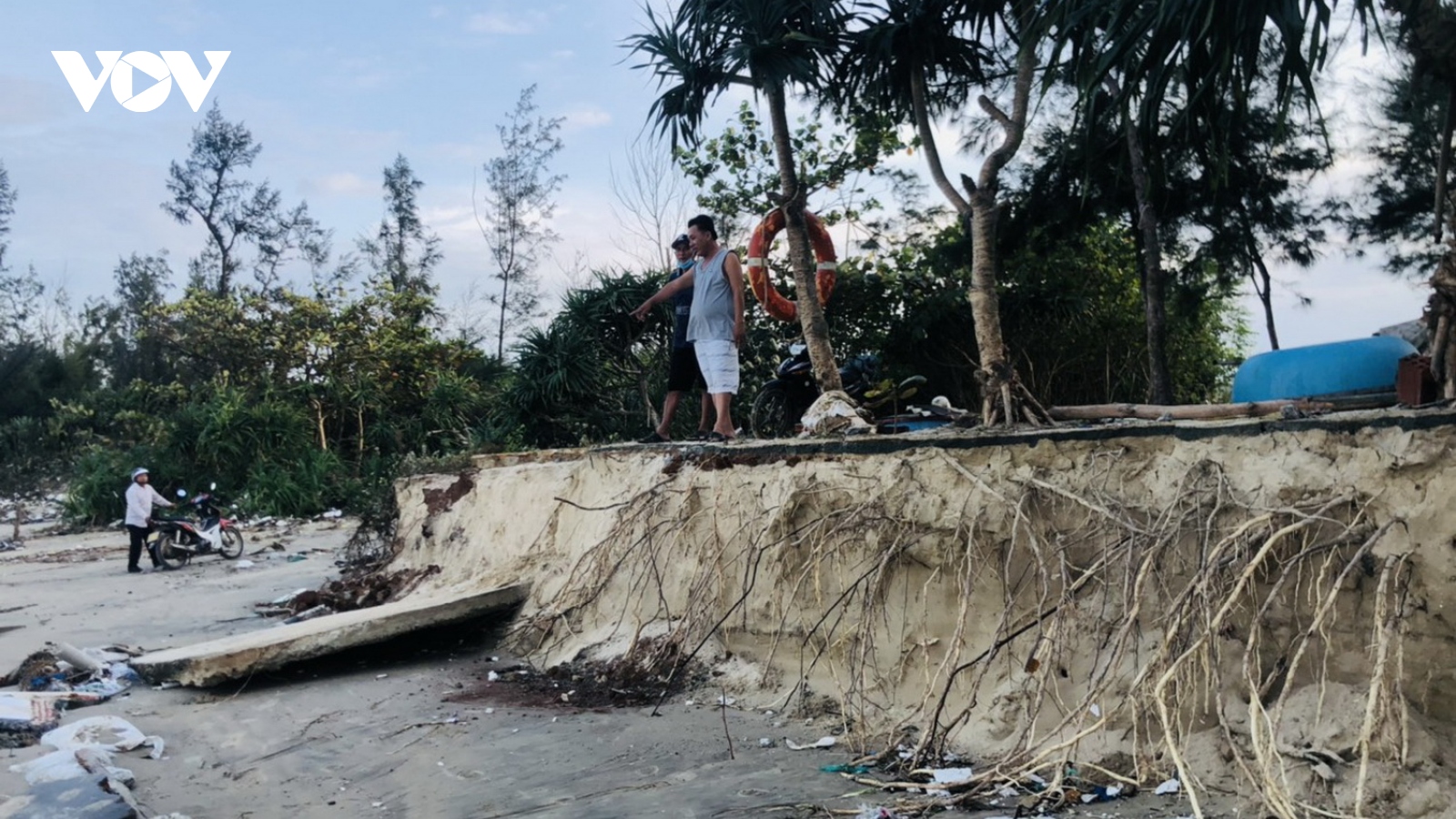 Triều cường xâm thực gây sạt lở bờ biển Quảng Ngãi