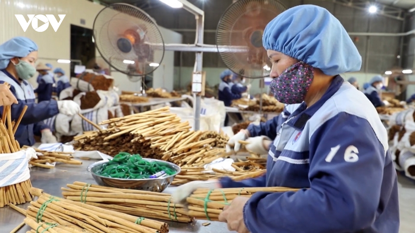 Doanh nghiệp miền núi đẩy mạnh xuất khẩu nông sản