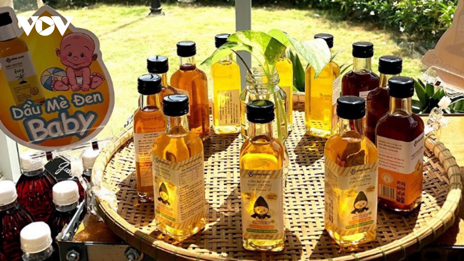 Lan tỏa các mô hình thanh niên khởi nghiệp ở Quảng Nam