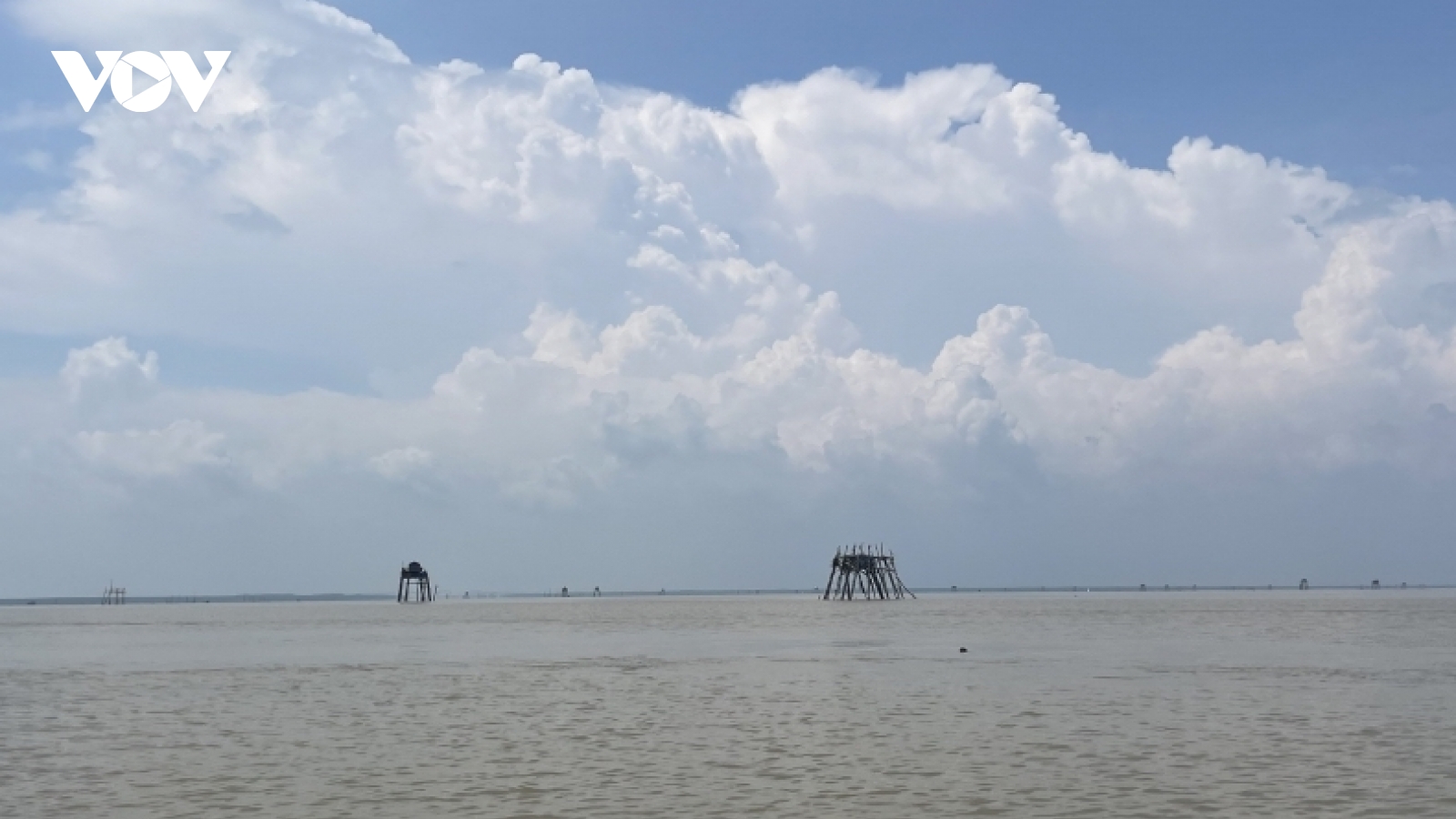 Quy hoạch gần 2.000 ha nuôi ngao tại huyện Tiên Lãng