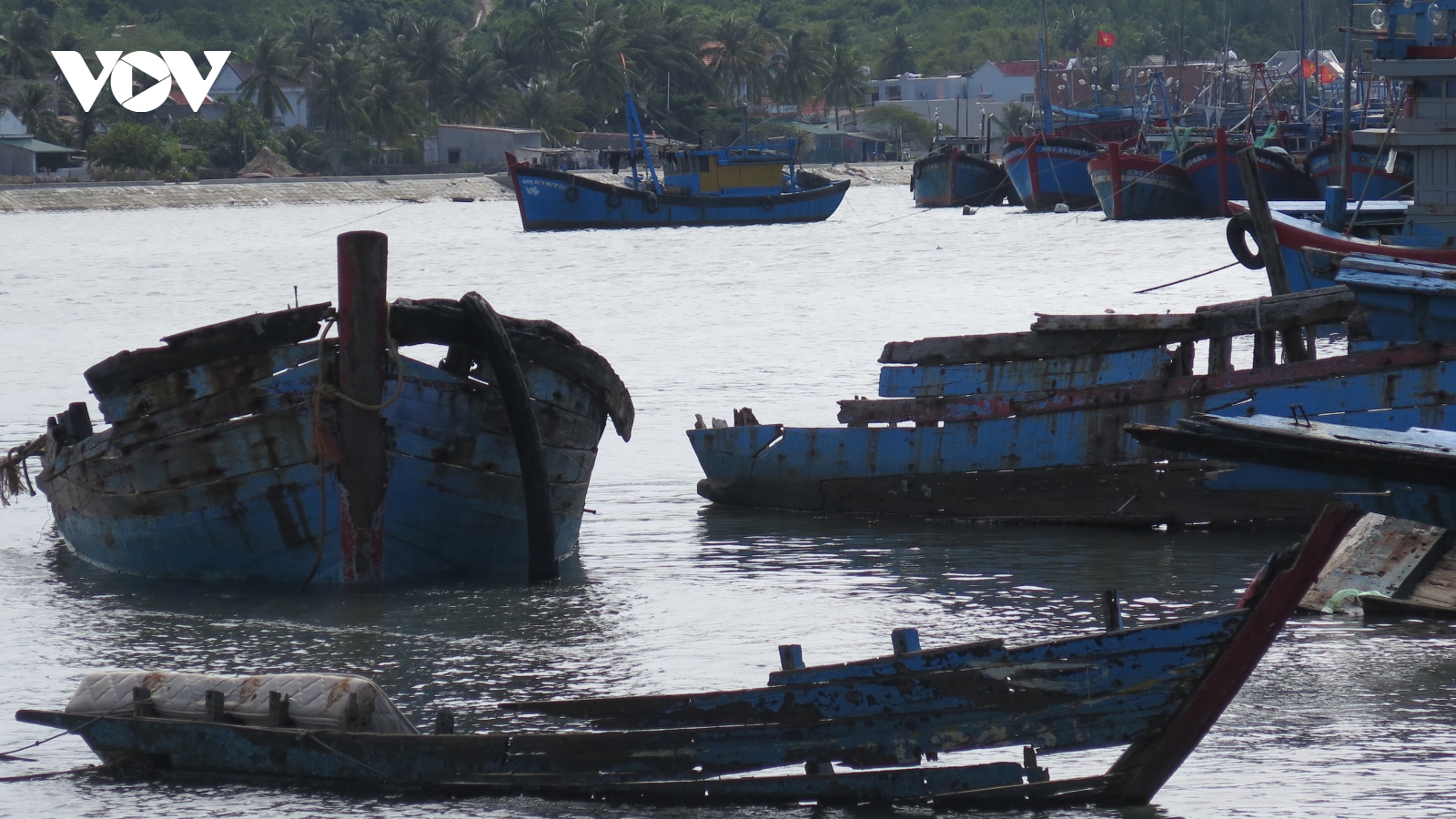 Quảng Ngãi khó xử lý những con tàu “vô chủ”