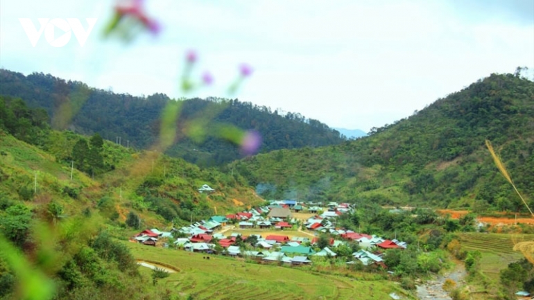Xuân ấm trên các bản làng miền núi tỉnh Quảng Nam