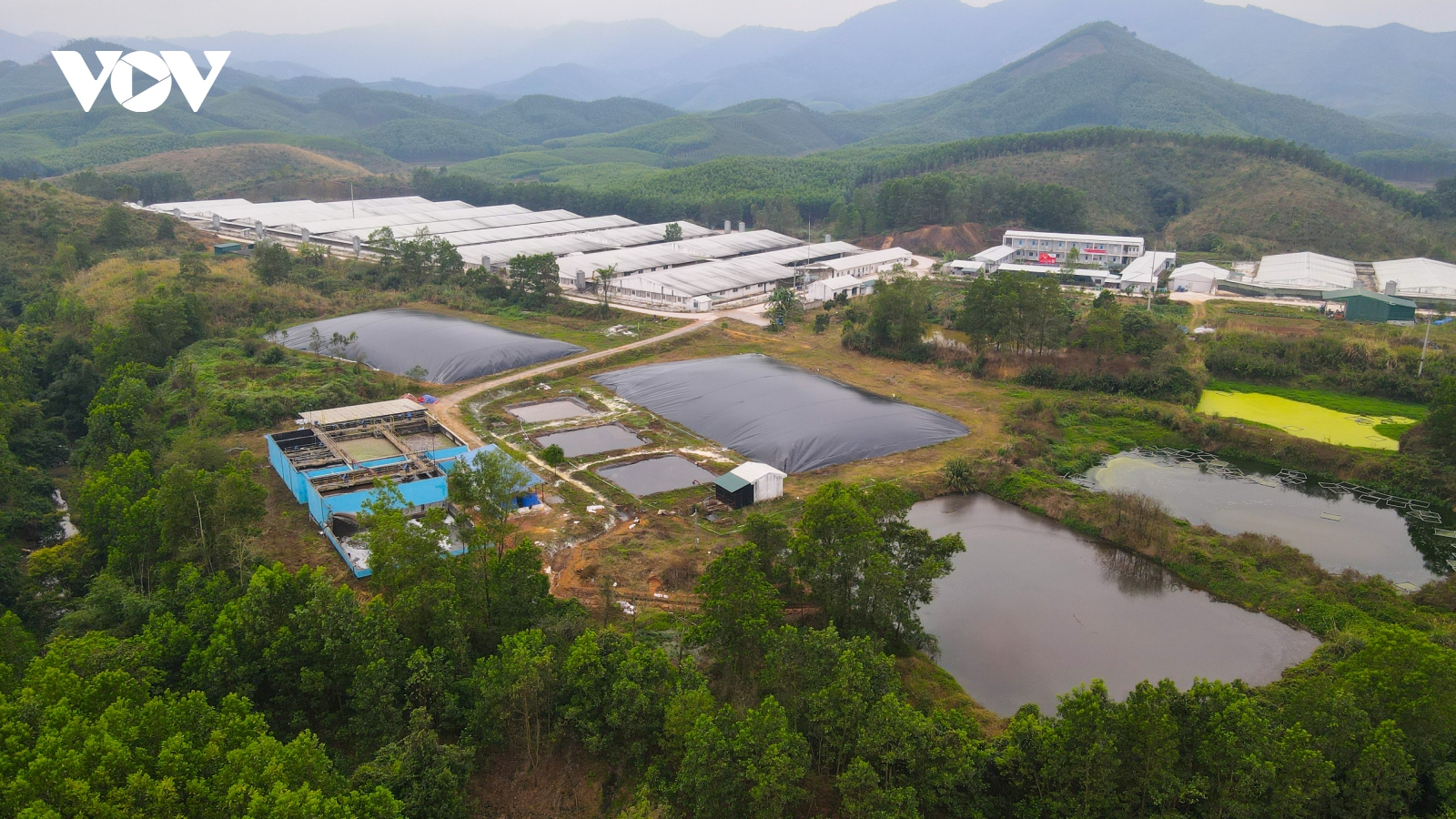 Cận cảnh Dự án chăn nuôi ở Sơn Động để vỡ đường ống nước thải gây ô nhiễm môi trường