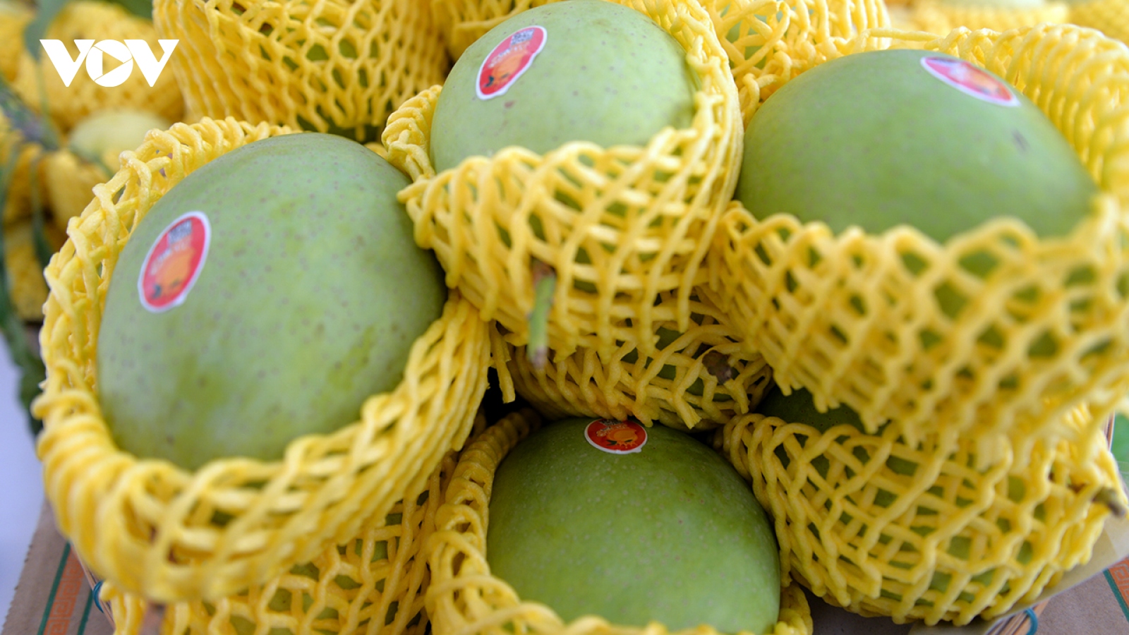 Đồng Tháp thu hồi 25 sản phẩm OCOP từ 3 đến 4 sao