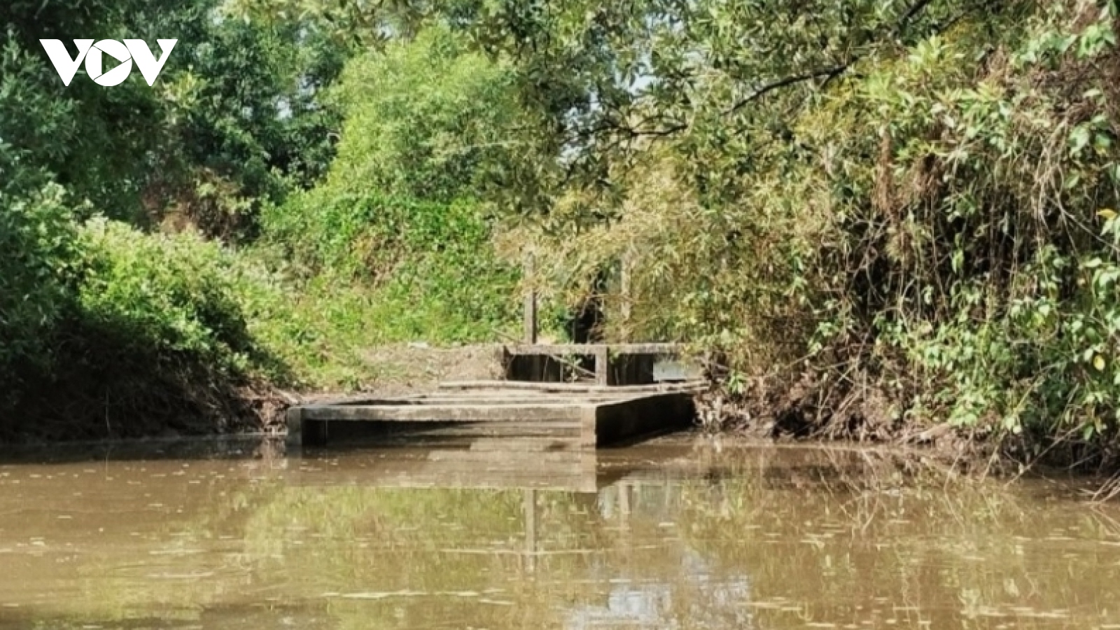 Thu hồi dự án làm sân chim 127 ha nhưng lại để nuôi tôm