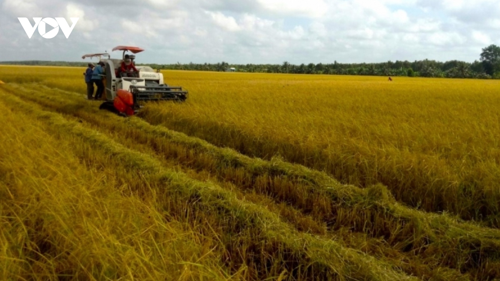Góp ý dự thảo Luật Đất đai sửa đổi: Ngân hàng đất đai "cởi trói” đất nông nghiệp