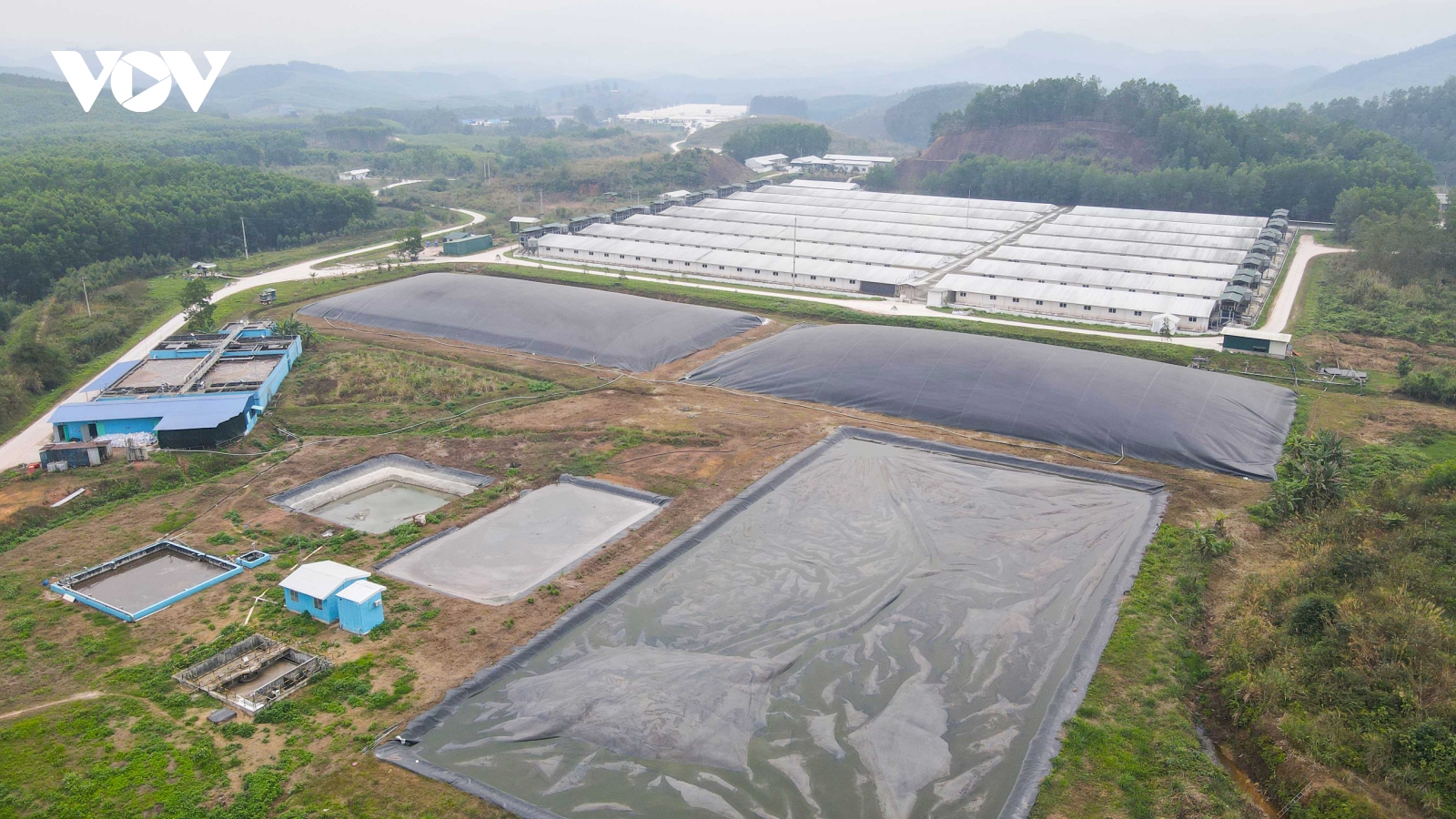 Vỡ đường ống nước thải, Công ty chăn nuôi Sơn Động bị xử phạt 500 triệu đồng