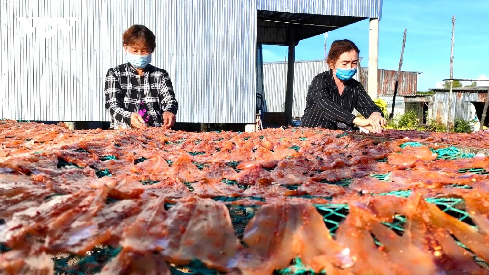 Khô cá thòi lòi đắt khách, người dân Đất Mũi làm không đủ bán