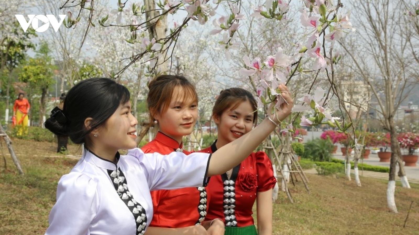 Lễ hội mùa hoa ban thành phố Sơn La năm 2023