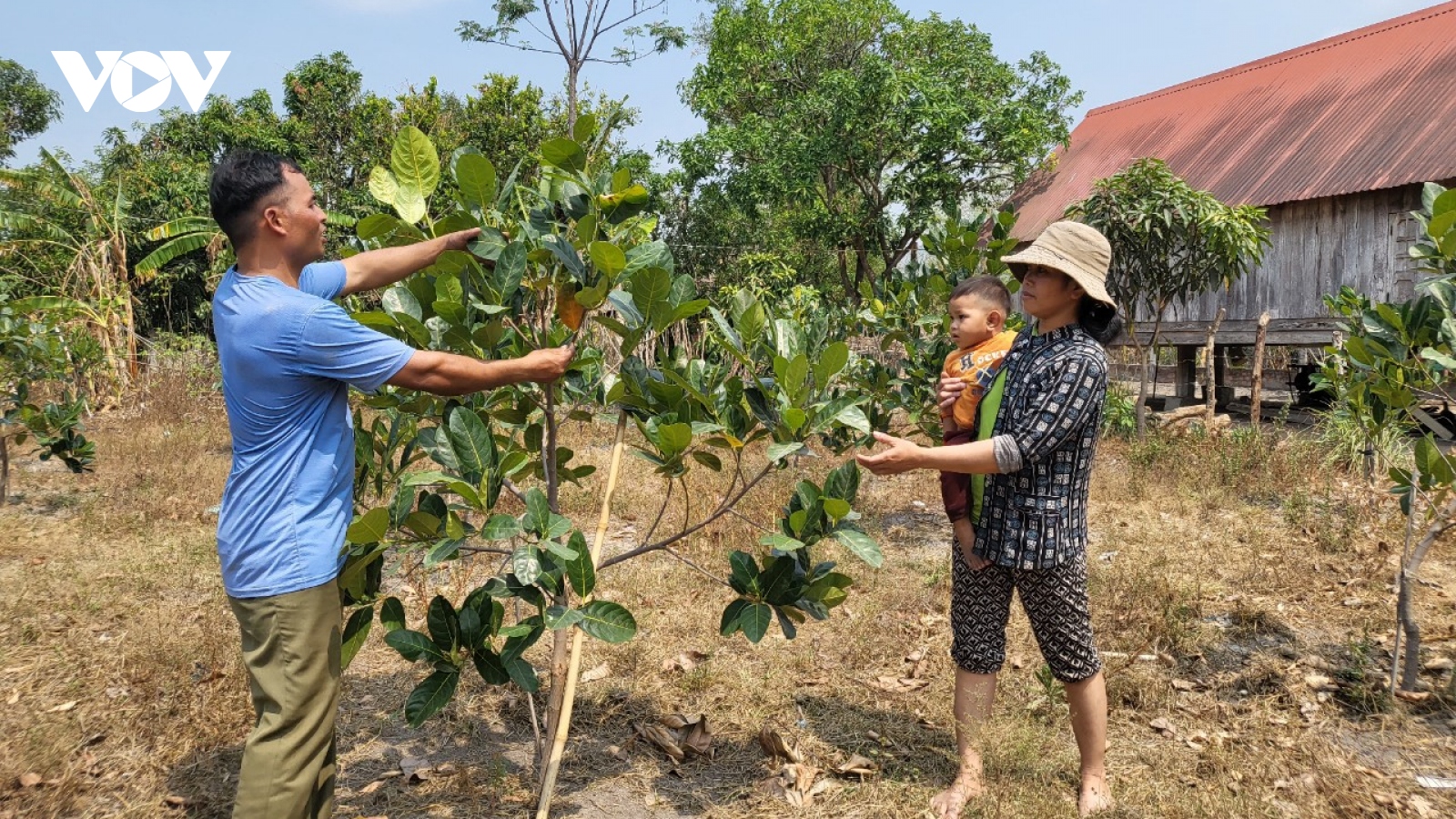 Chuyện về đảng viên Y Al Trei: Gần dân, năng động, sáng tạo