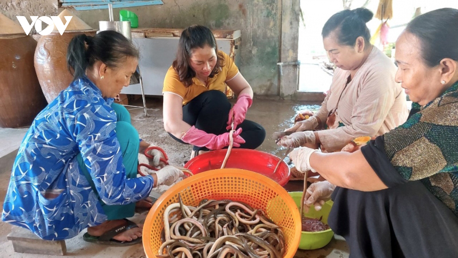 Cá lạc 1 nắng quý hiếm giá cao vẫn đắt hàng