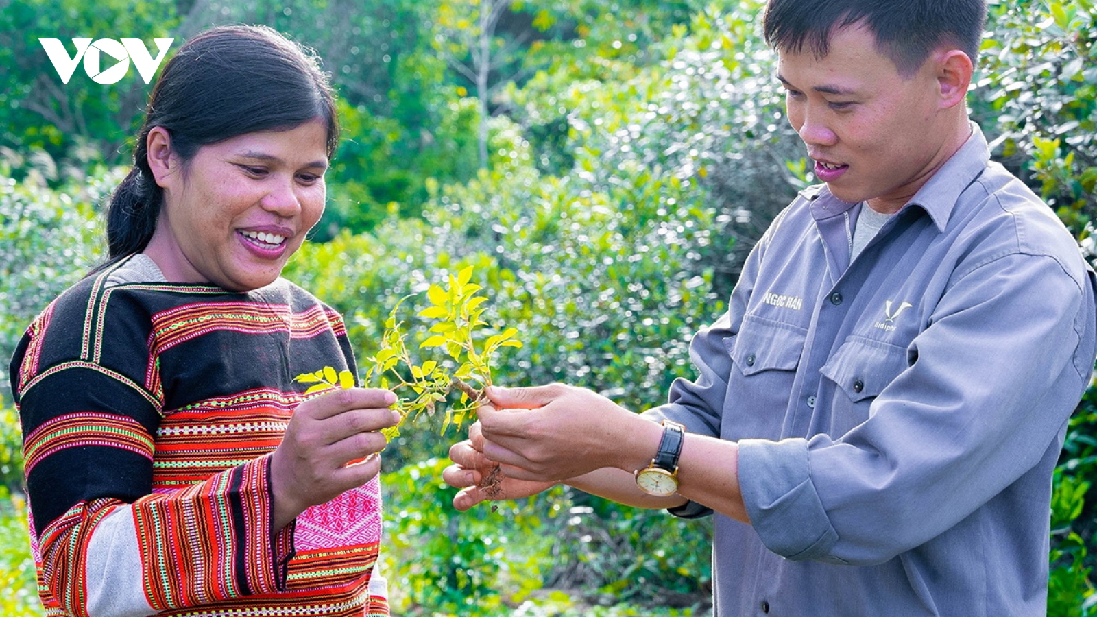Bàn kế thoát nghèo cho đồng bào dân tộc thiểu số ở Bình Định