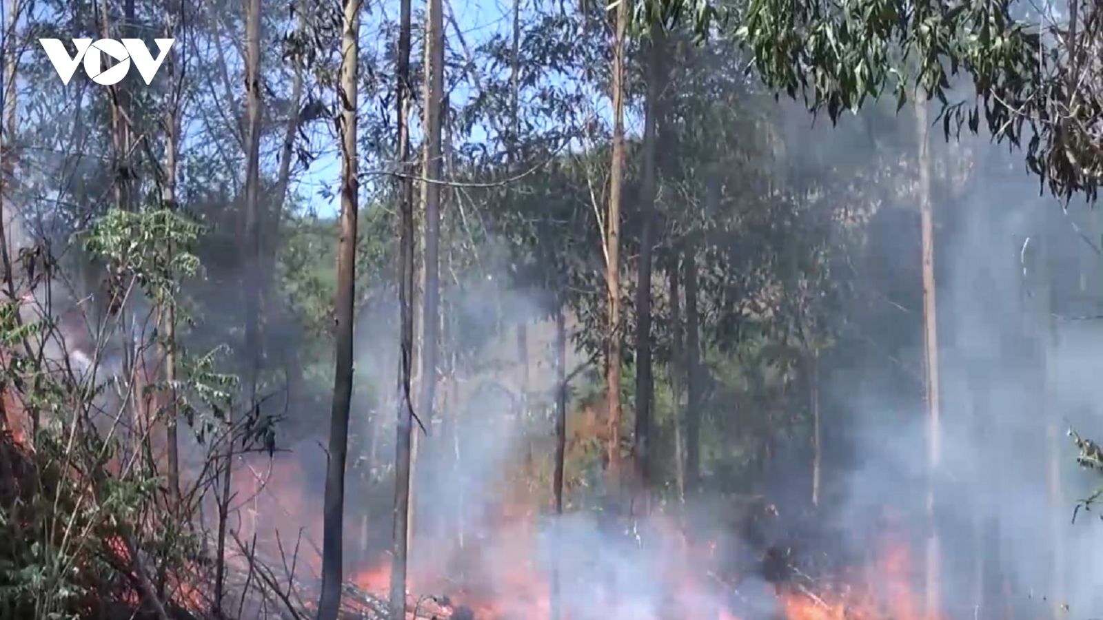 Quảng Ngãi: Một tuần hai người tử vong do đốt thực bì