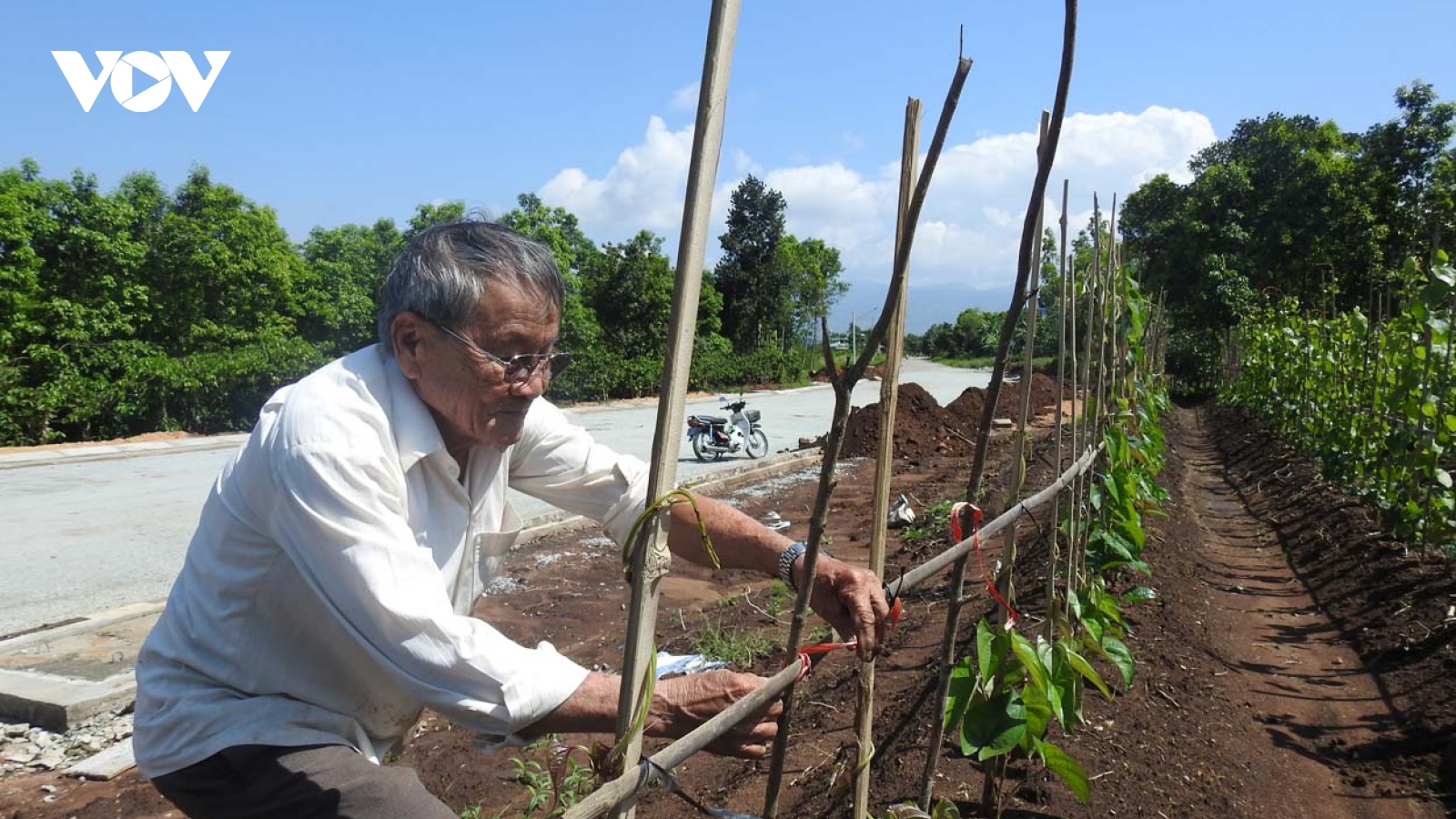 Hai hộ gia đình hiến đất làm đường được Chủ tịch tỉnh tặng Bằng khen