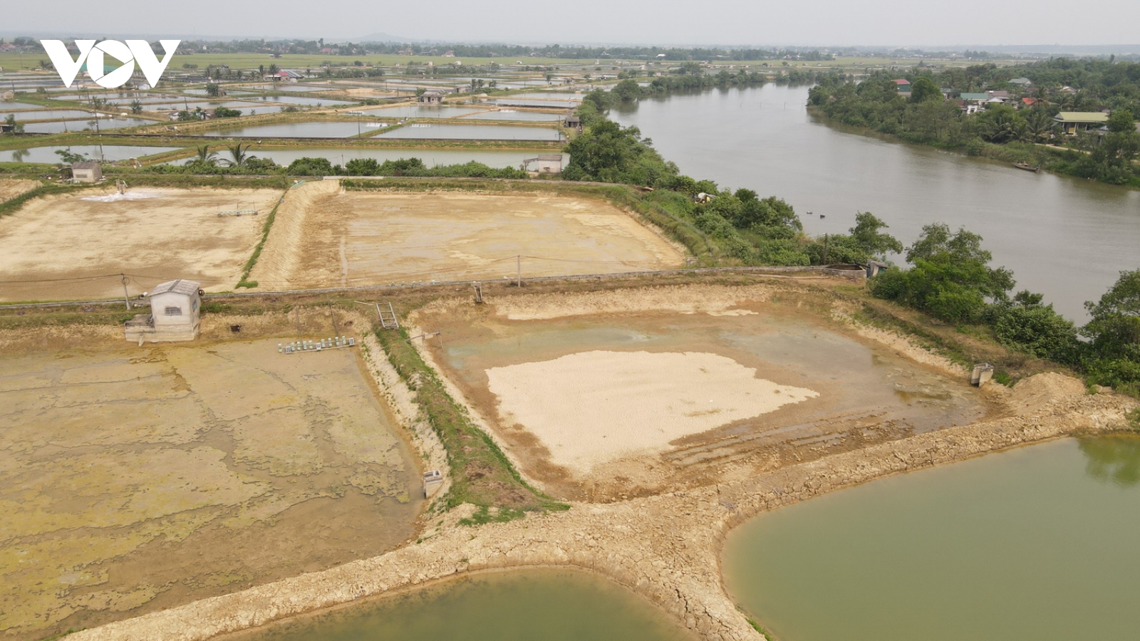 Lo ngại nguồn nước sông ô nhiễm, người nuôi tôm không dám thả nuôi