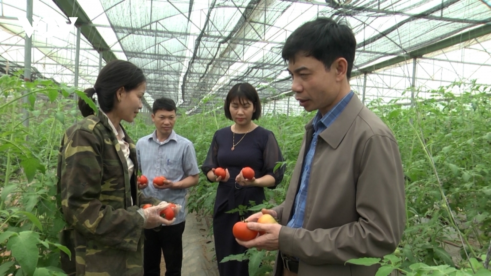 Yên Bái phát triển nông nghiệp theo hướng thích ứng với biến đổi khí hậu