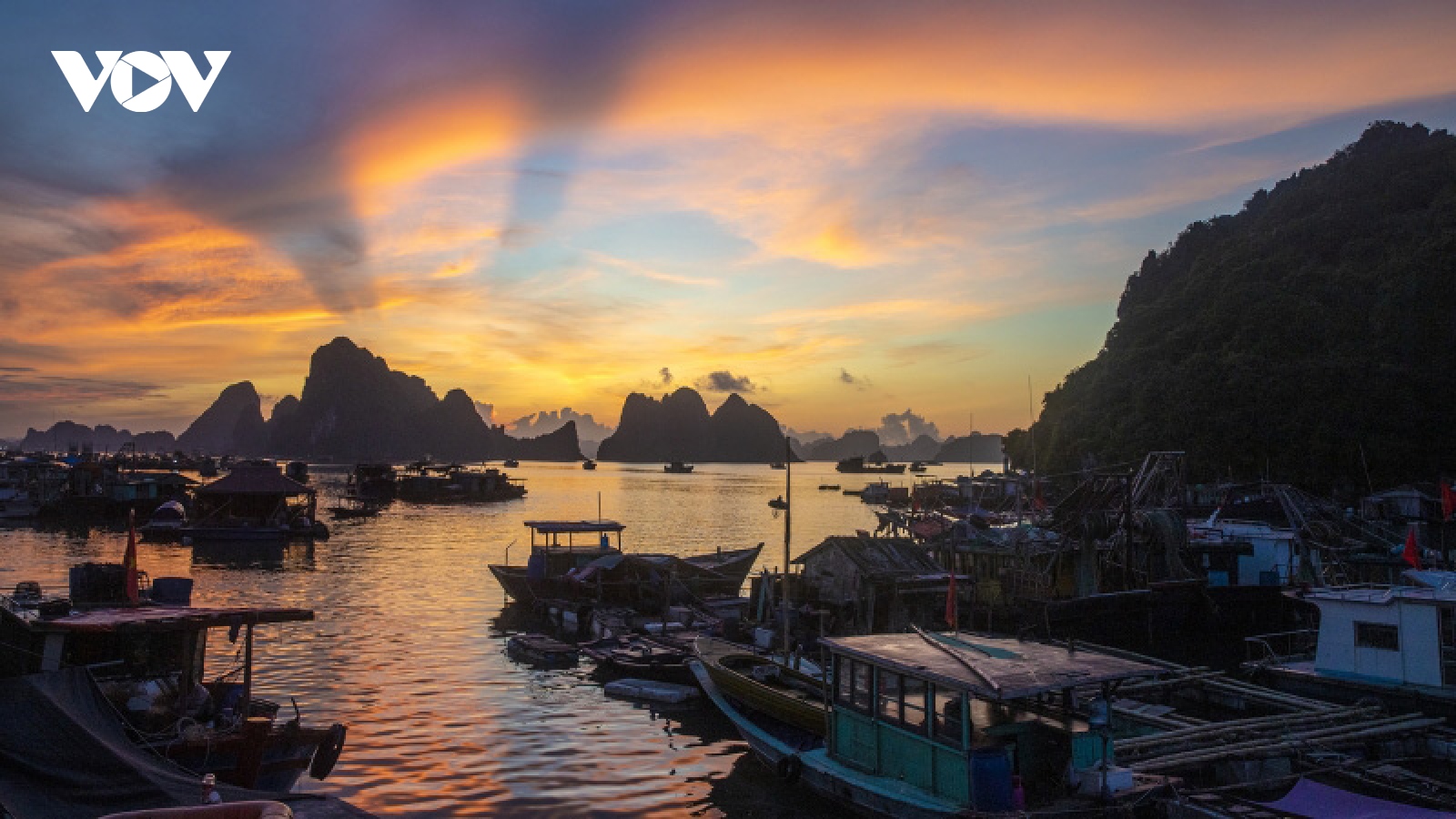 Chợ cá hừng đông bên vịnh Bái Tử Long
