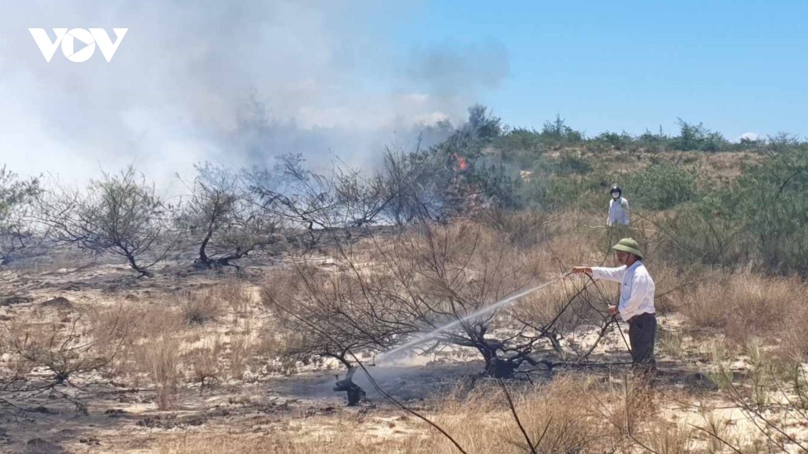 Rừng ven biển Quảng Bình cháy giữa trưa nắng nóng