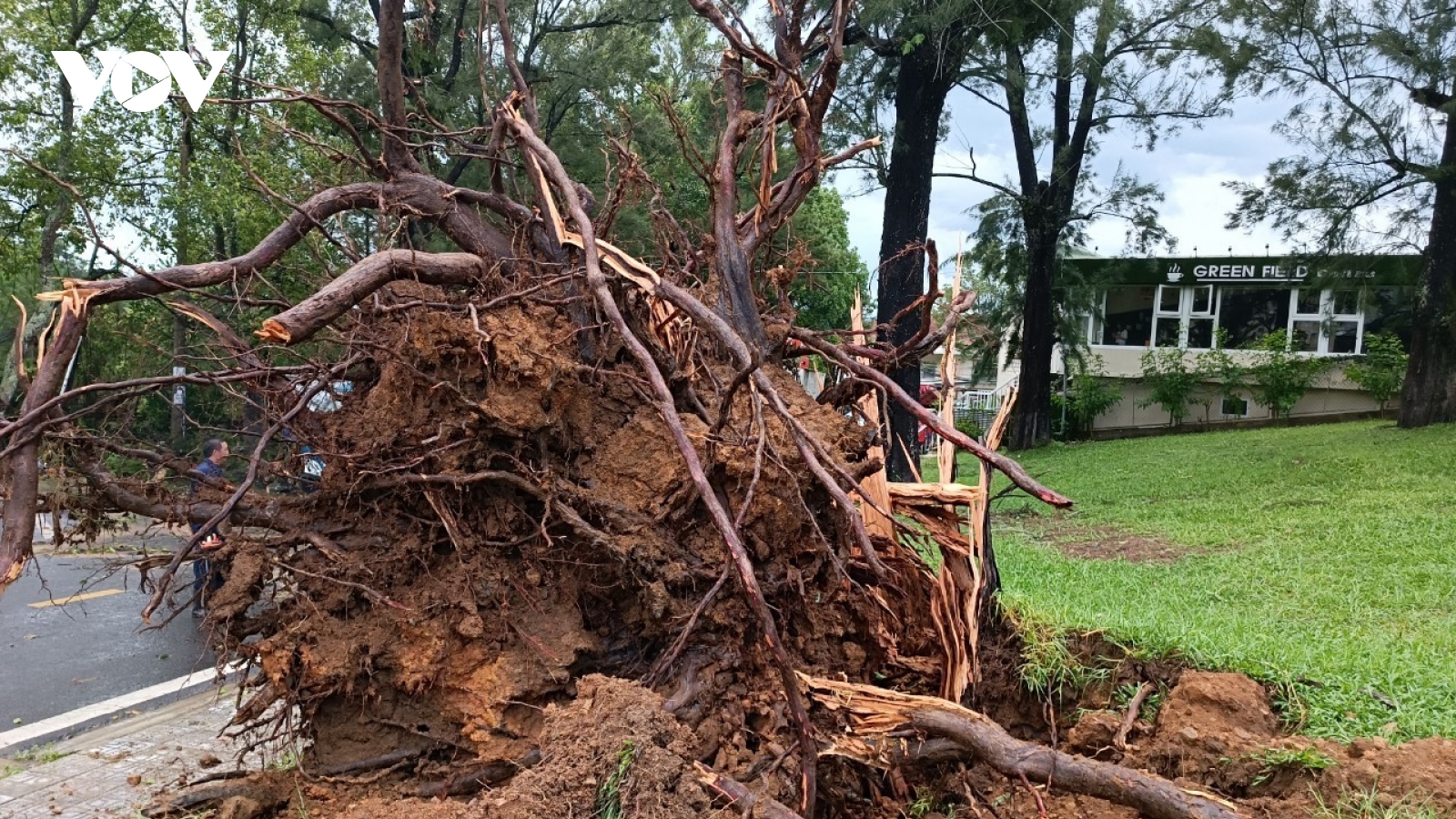 Lâm Đồng phát đi cảnh báo lốc, sét và mưa đá