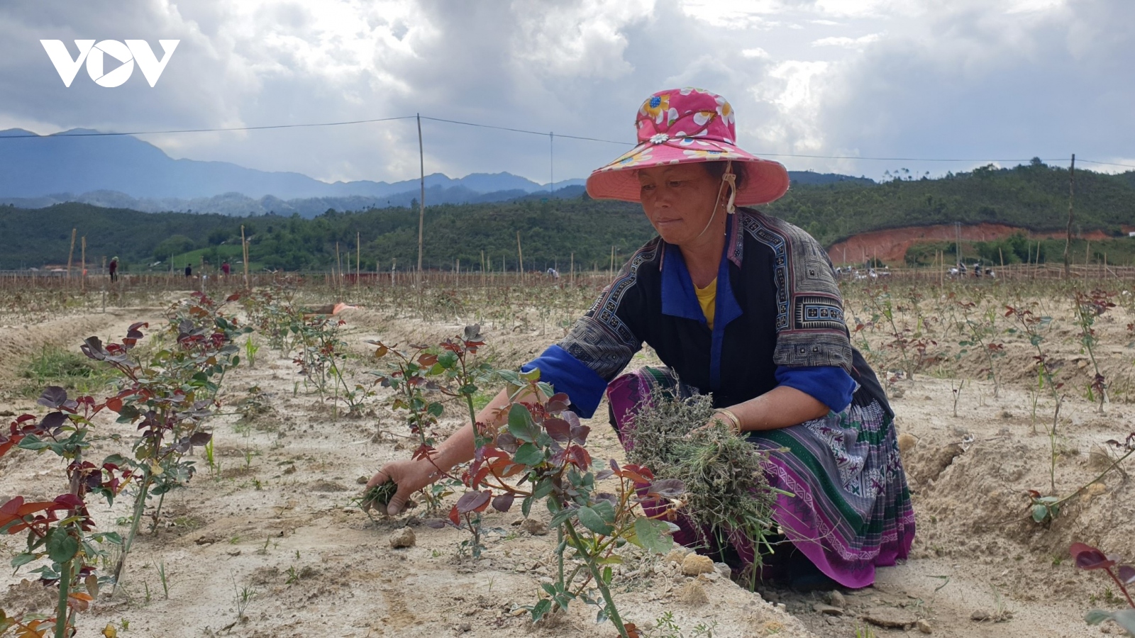 Câu chuyện nâng chỉ số hạnh phúc người dân huyện nghèo ở Yên Bái