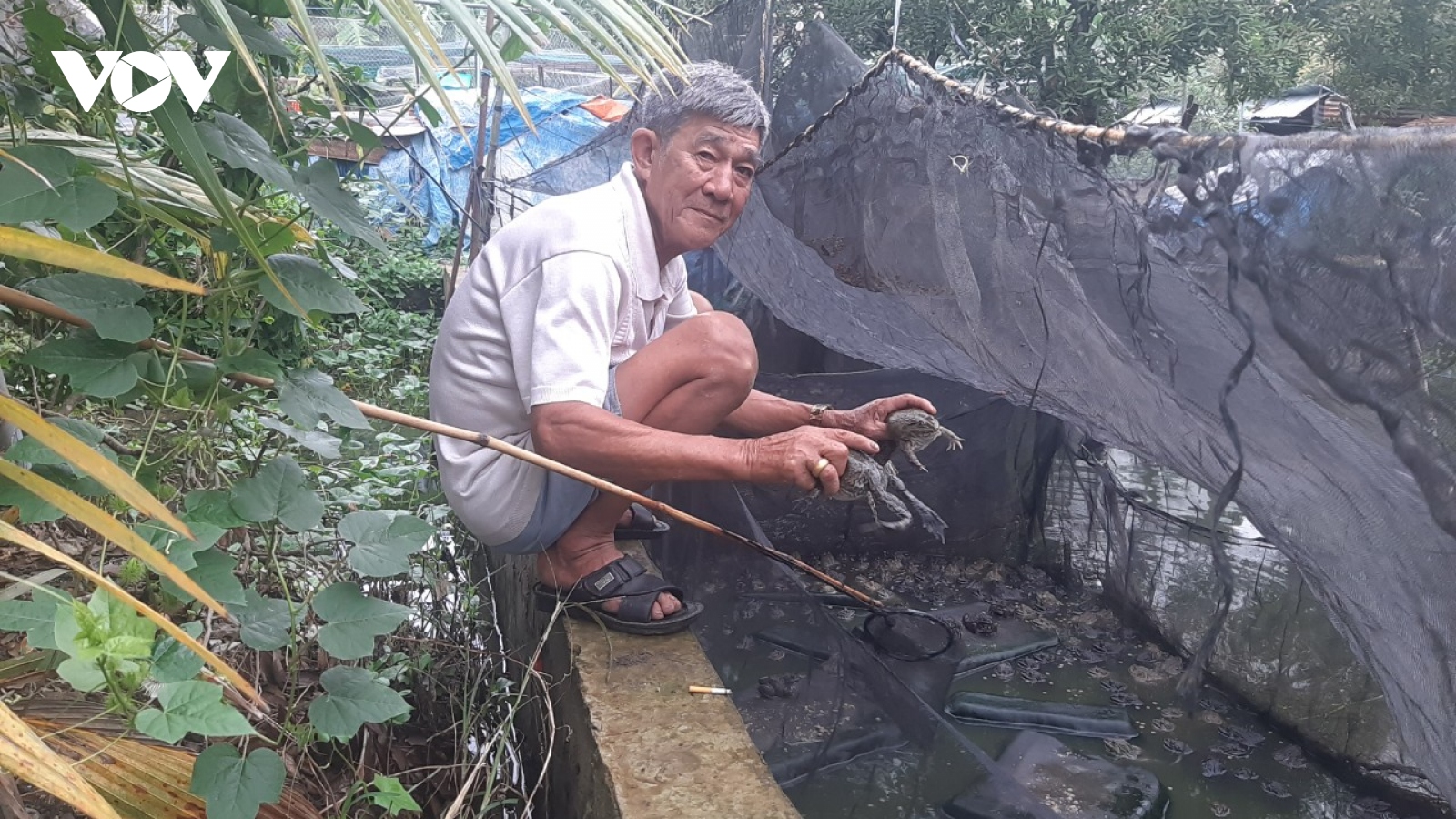 Người thương binh cao tuổi lao động giỏi, nhiệt tình với hoạt động xã hội