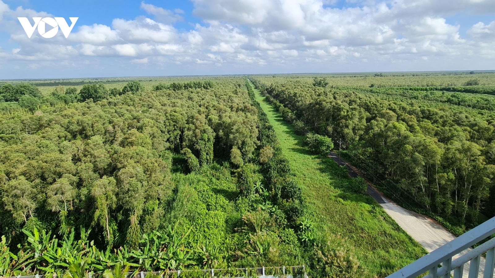 Gần 1.500 tỷ đồng phát triển du lịch sinh thái ở Vườn Quốc gia U Minh Hạ