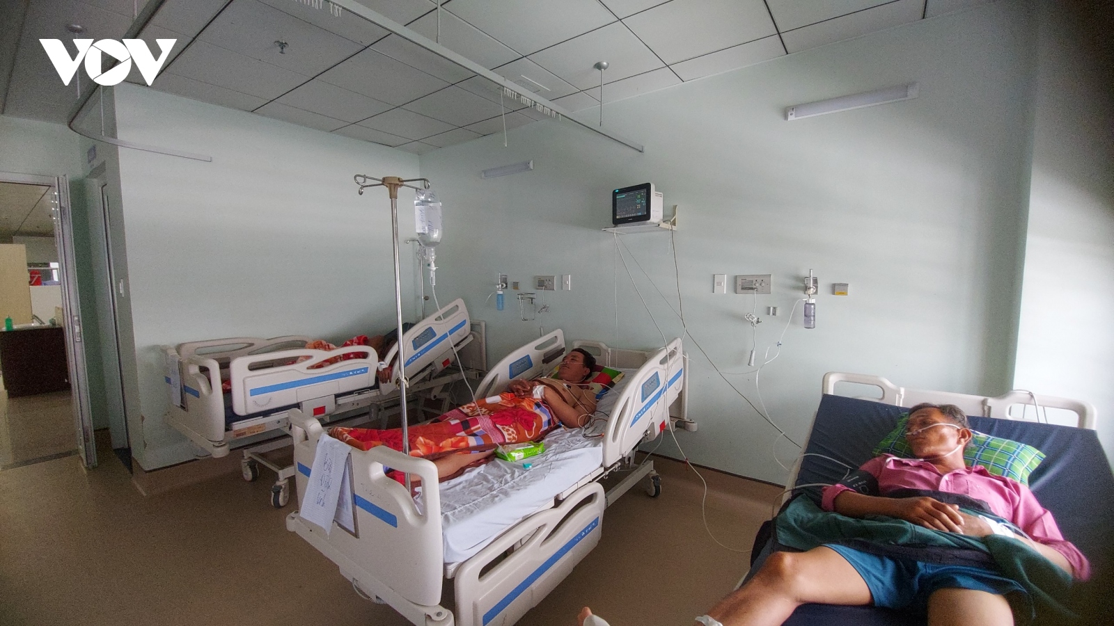 Ăn cá nóc, 1 ngư dân bị ngộ độc tử vong, 2 người nhập viện cấp cứu