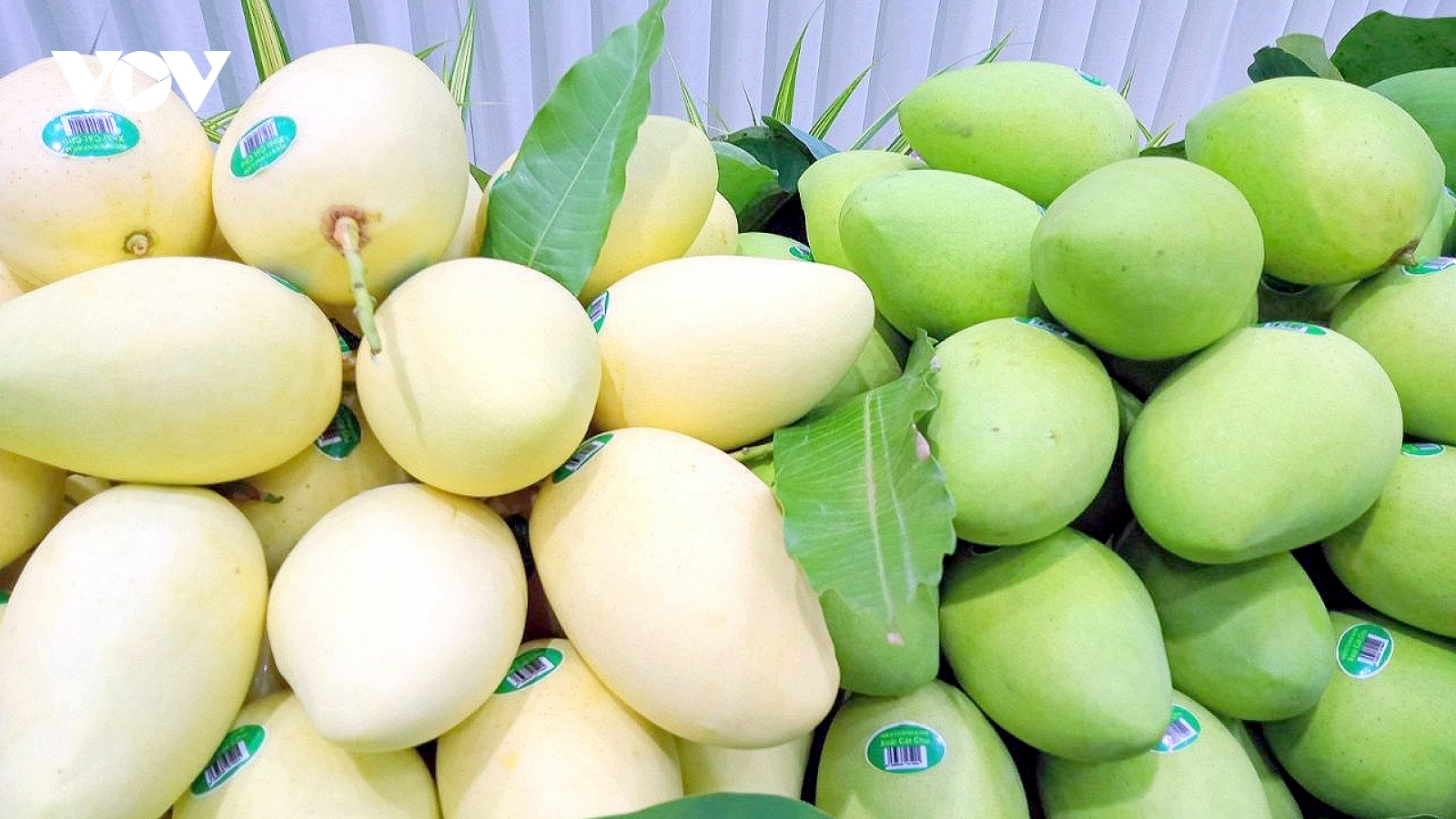 Vương quốc Anh gia nhập CPTPP tăng cơ hội cho xuất khẩu của Việt Nam