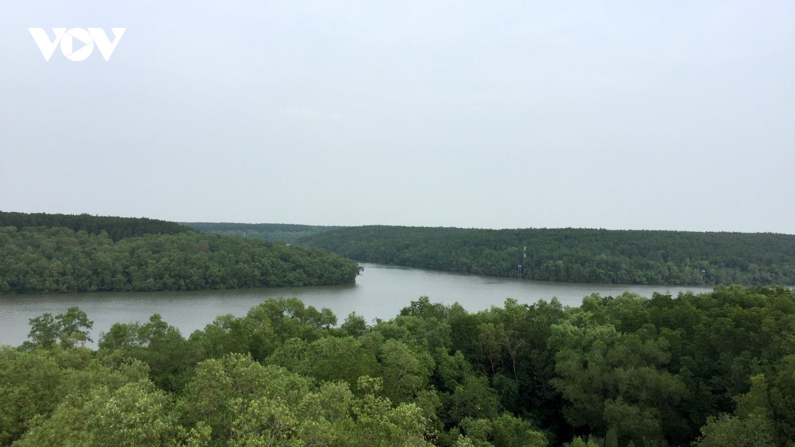 Trồng thêm 30.000 cây xanh cho lá phổi xanh Cần Giờ