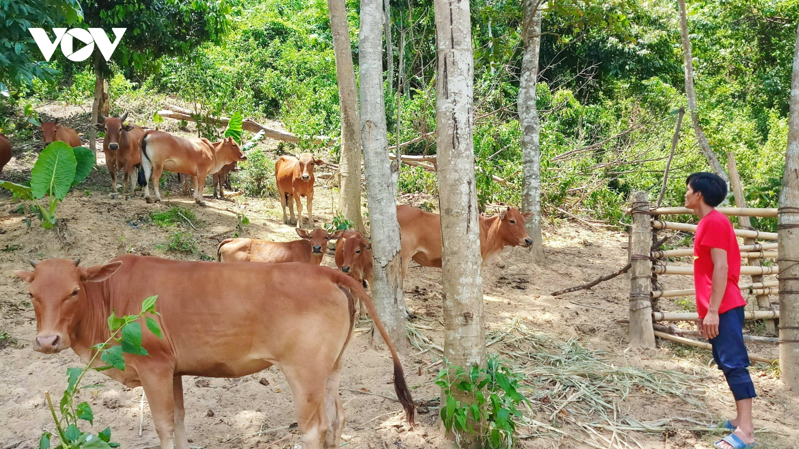 Nhiều dự án nằm im trên giấy