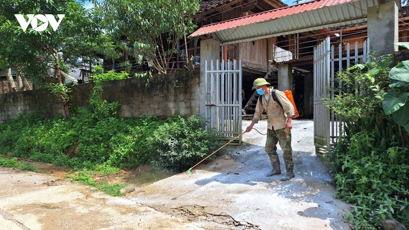 Ngăn nguy cơ dịch tả lợn châu phi tái bùng phát trên diện rộng ở Bắc Kạn