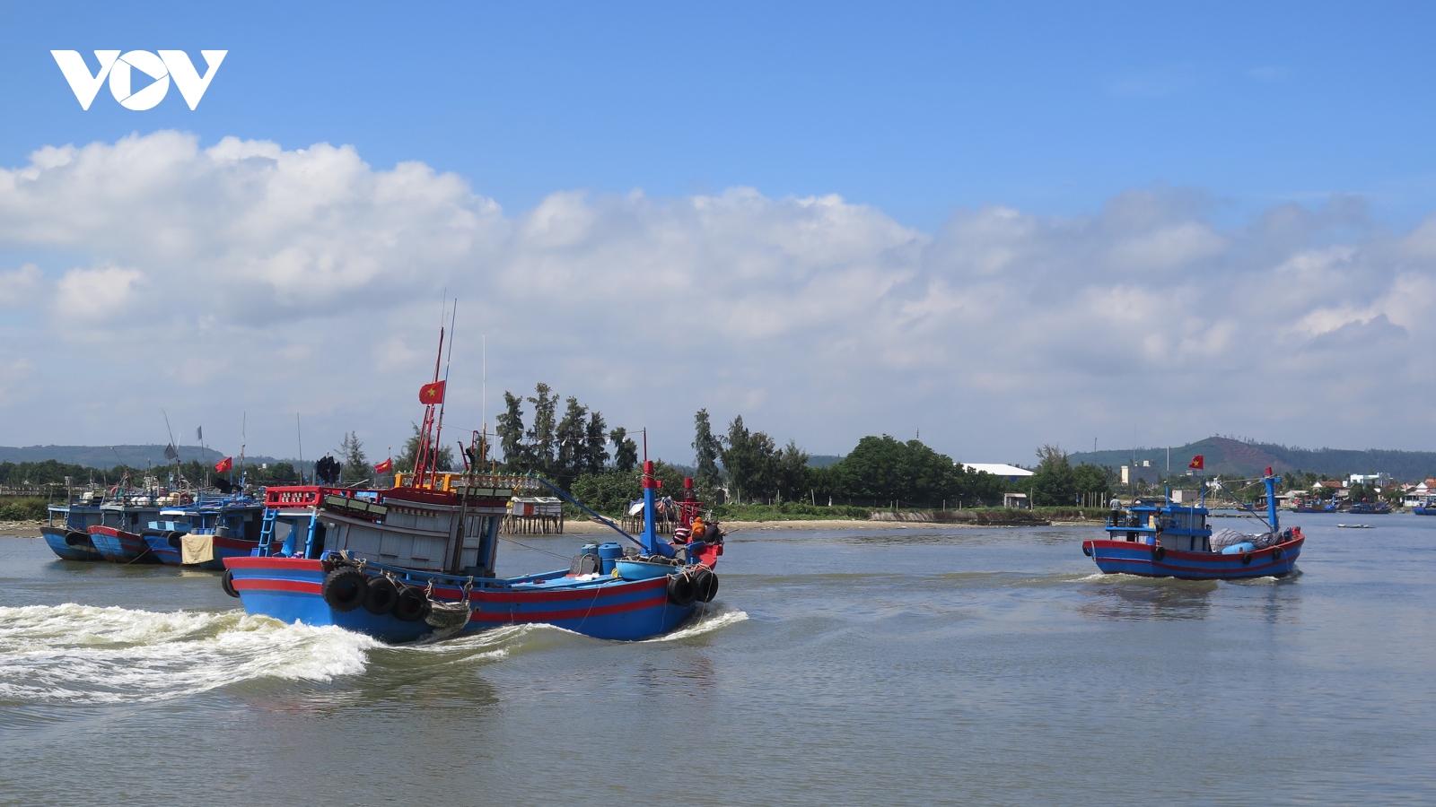 Quảng Ngãi cơ cấu lại nghề cá theo hướng bền vững