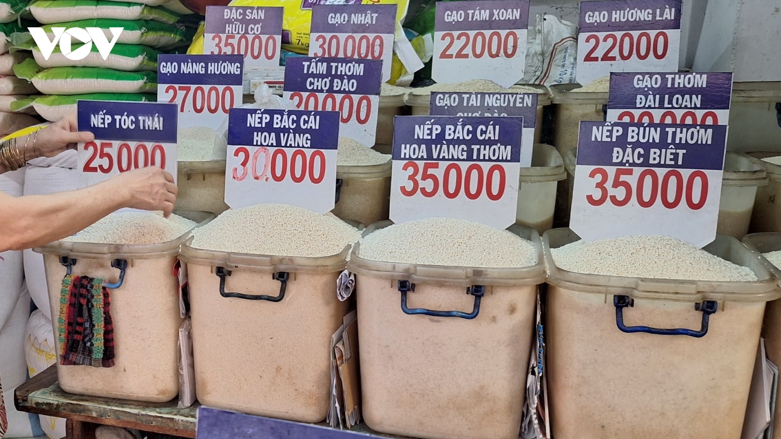 Doanh nghiệp ở TP.HCM đảm bảo nguồn dự trữ gạo theo yêu cầu
