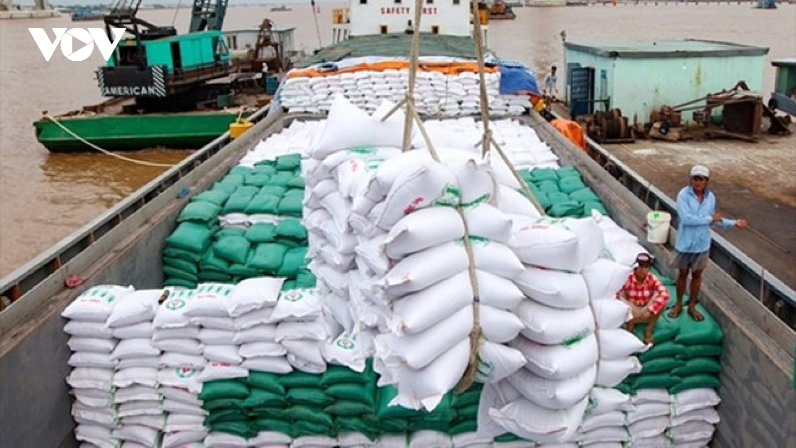 Xuất khẩu gạo 8 tháng 2023 tăng hơn 30% về giá trị