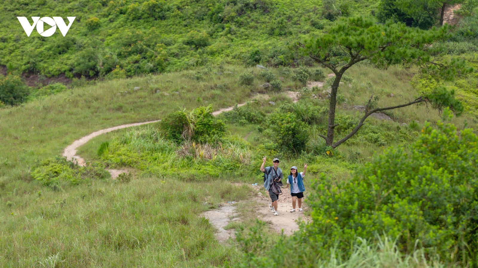 Ngỡ ngàng vẻ đẹp hoang sơ đỉnh Bình Hương, Quảng Ninh