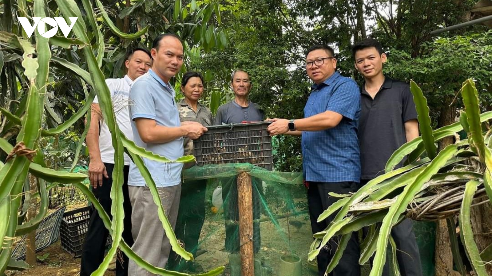 Yên Bái hỗ trợ sinh kế cho người dân thoát nghèo