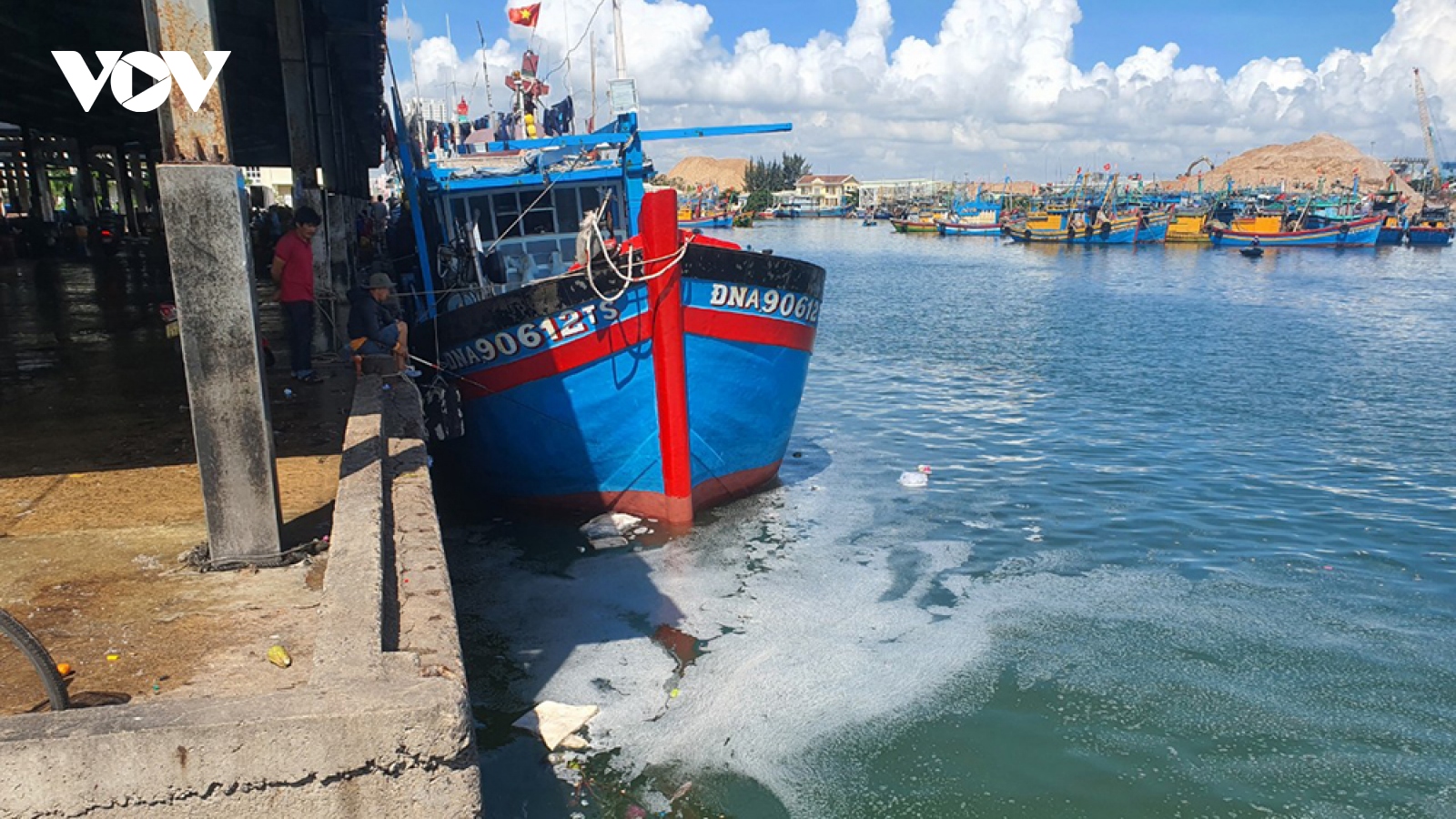 Xử lý dứt điểm ô nhiễm môi trường ở cảng cá Quy Nhơn