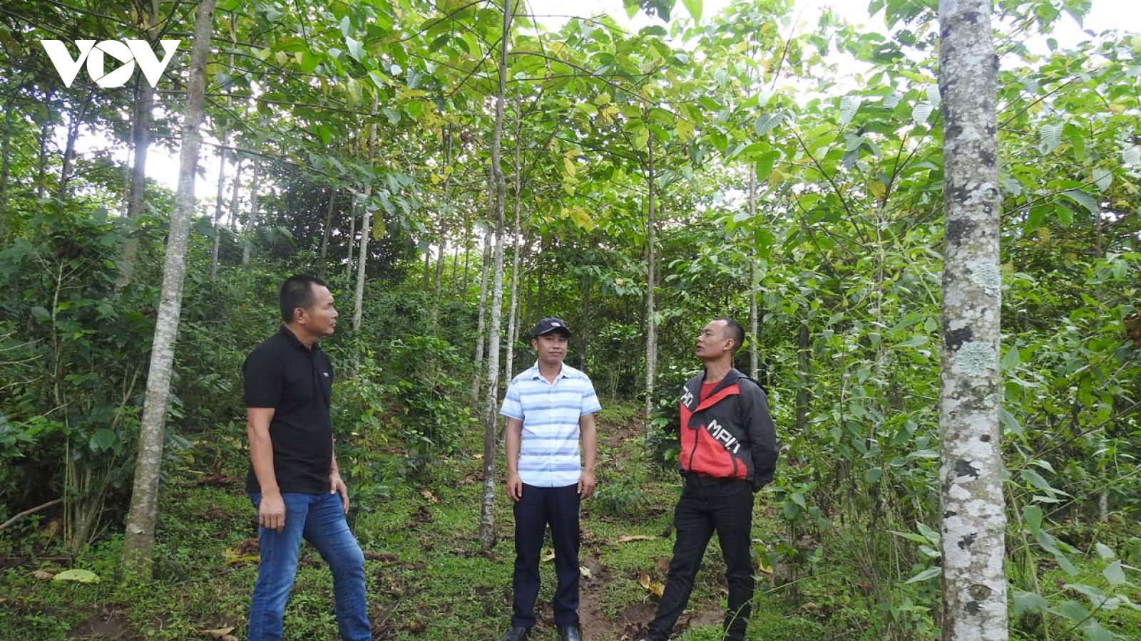 Xây dựng Đảng ở vùng dân tộc thiểu số: Nói để dân hiểu, làm để dân tin