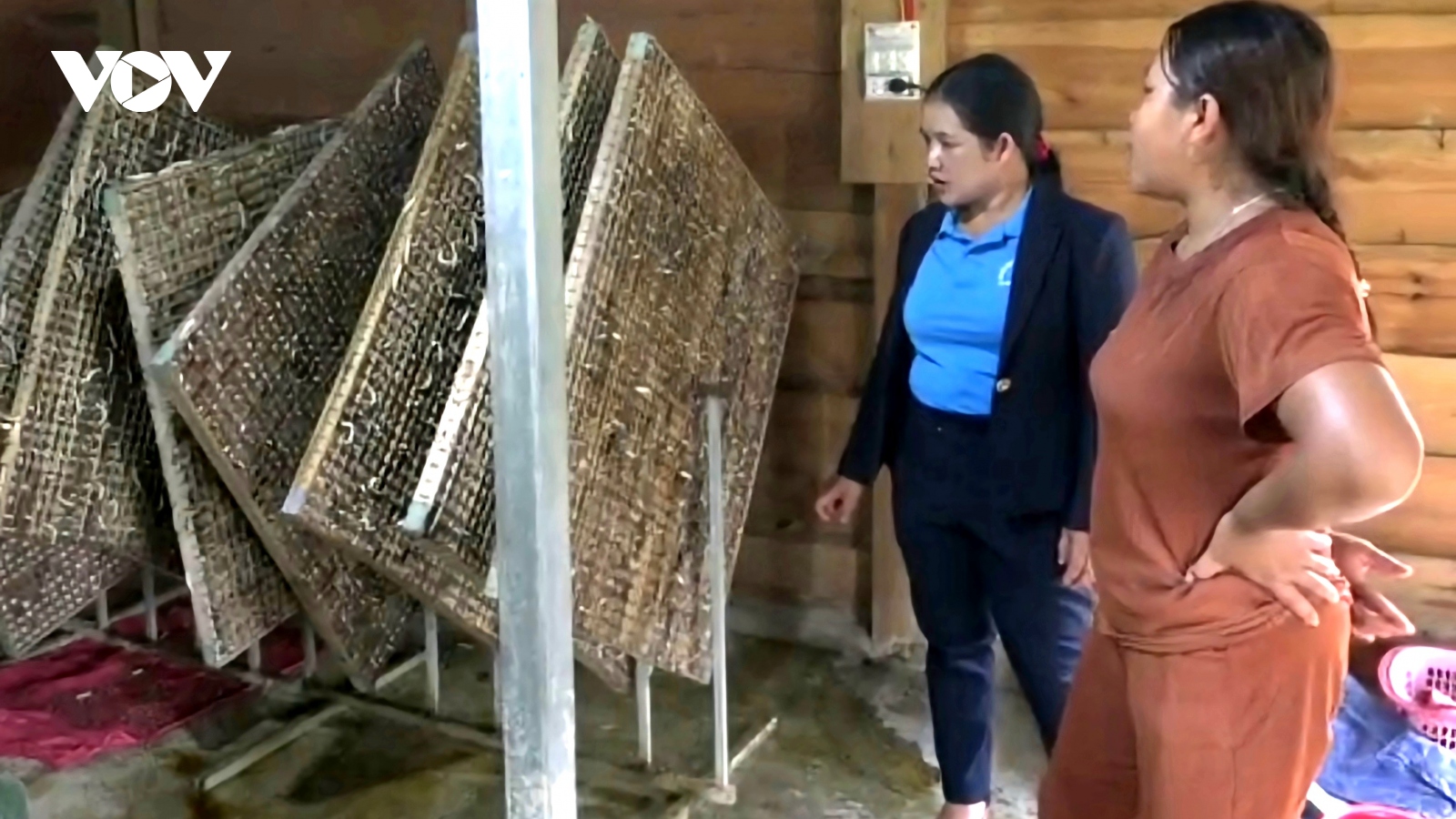 Nữ cán bộ dân tộc thiểu số ở Lâm Đồng có nhiều đóng góp vì buôn làng