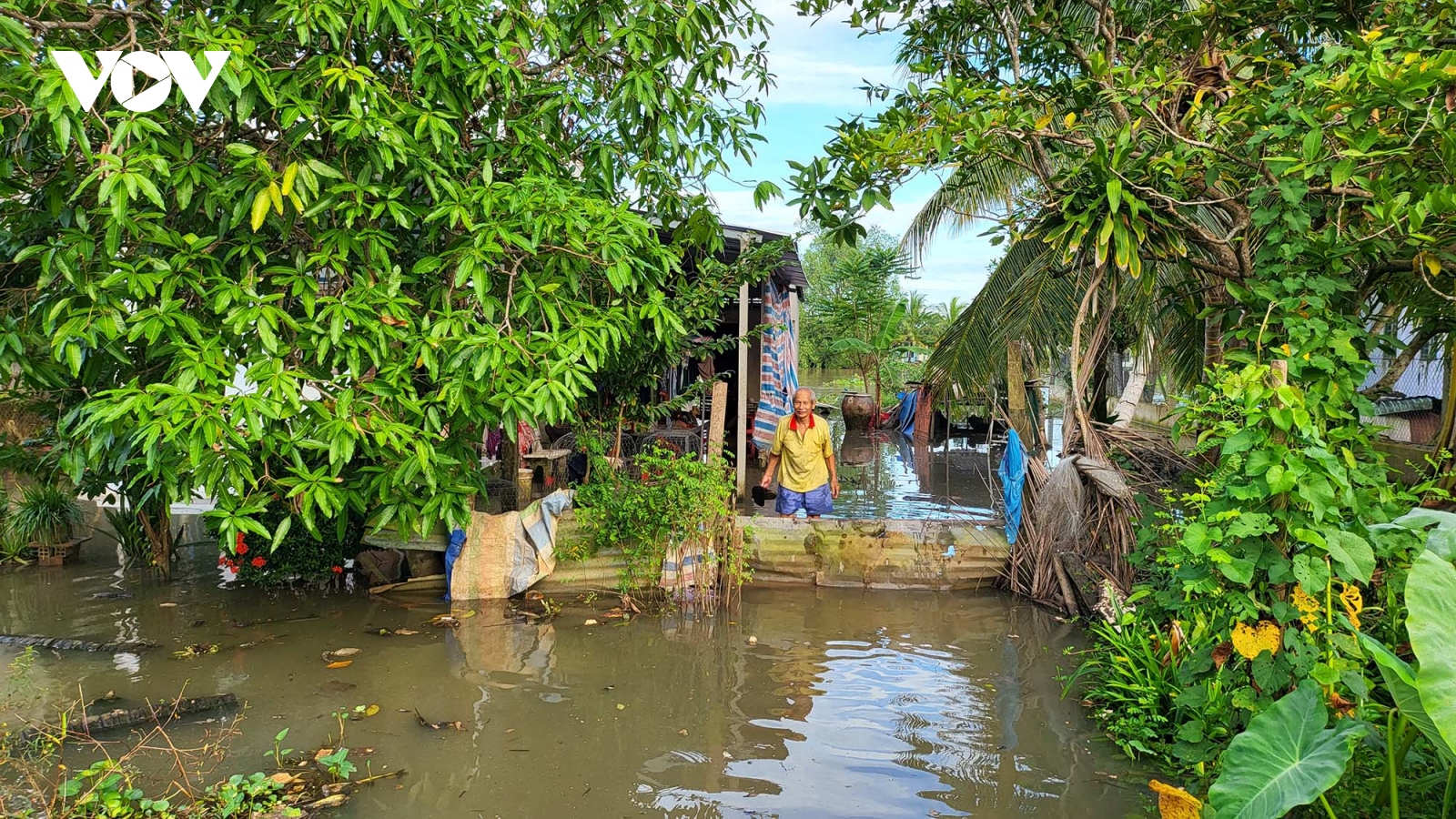 Hậu Giang cảnh báo triều cường kết hợp với lũ thượng nguồn, mưa lớn gây ngập lụt nặng