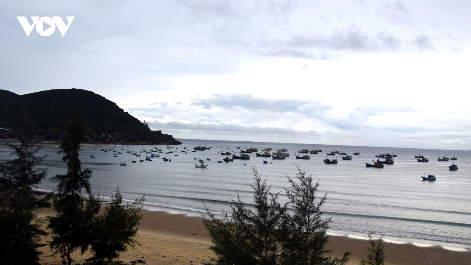 EC đánh giá cao nỗ lực chuyển biến nghề cá có trách nhiệm của Việt Nam